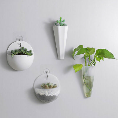 Space-saving wall hanging planter with green dill, great for kitchen herbs or decorative use